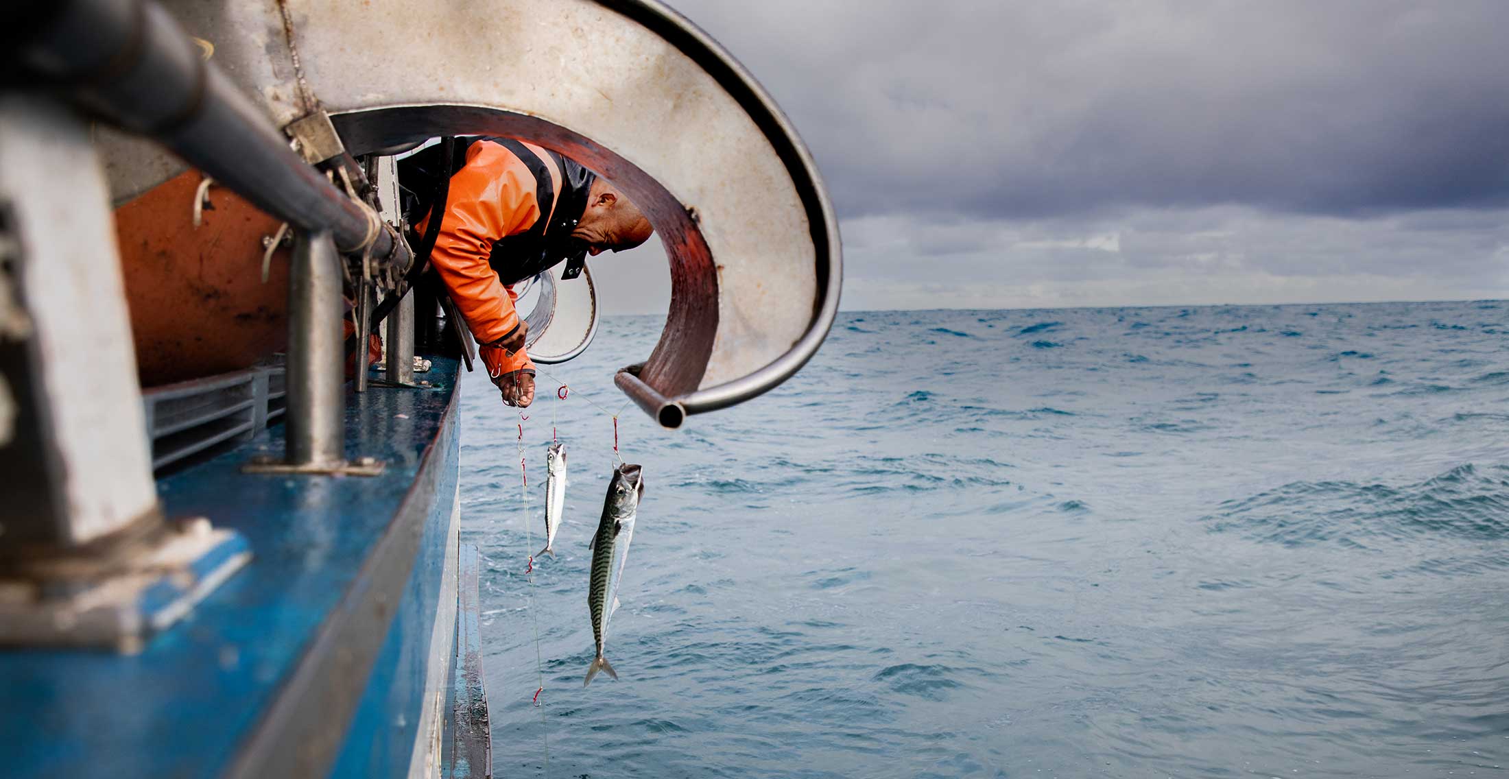 A fisherman leaning over the rail adjusting his line with two small bait fish attached